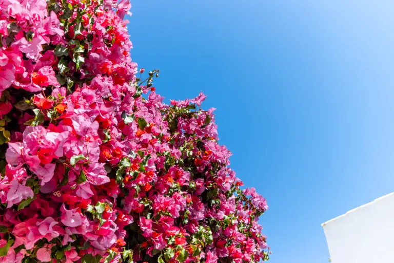 Portuguese mortgage offer for non-resident buyers in 2026 showing loan terms, FINE document and mortgage approval process